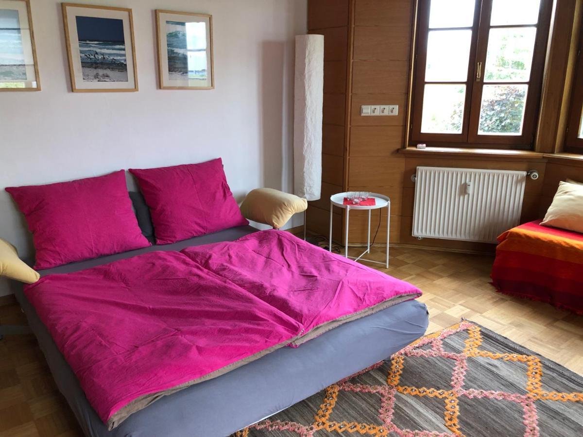 Ferienwohnung Am Donauradwanderweg Ридлинген Экстерьер фото